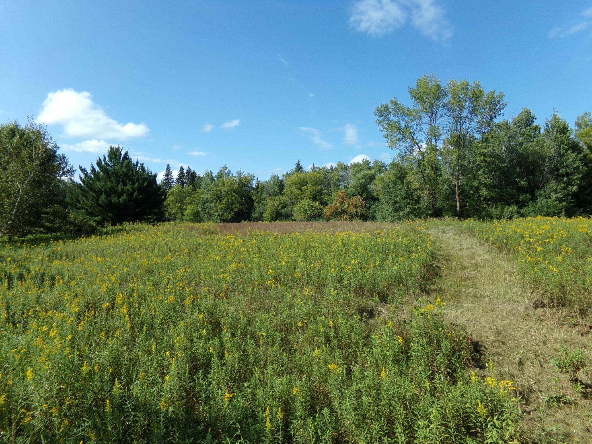 67xx Old Sawmill RD, Harris, MN 55032