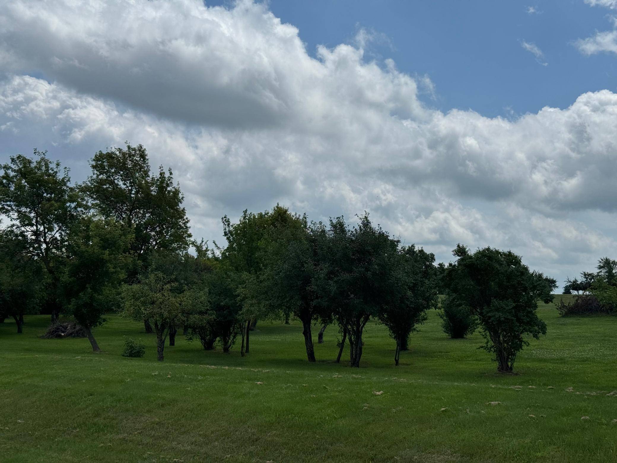tbd 302nd AVE, Lake City, MN 55041