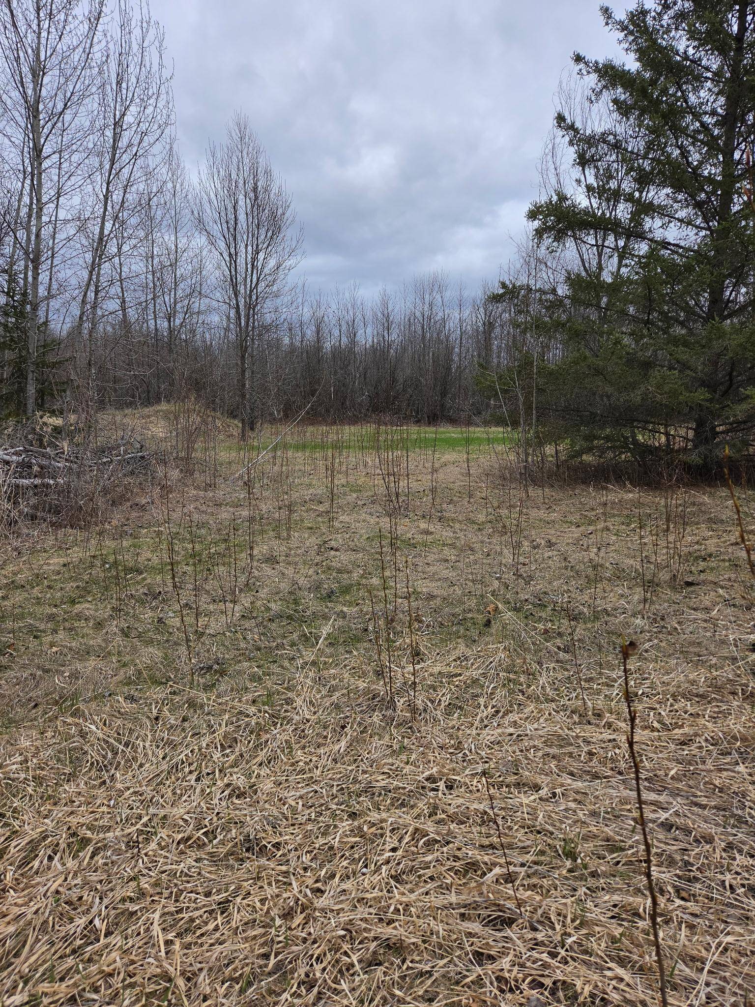TBD Lampi RD, Cohasset, MN 55721