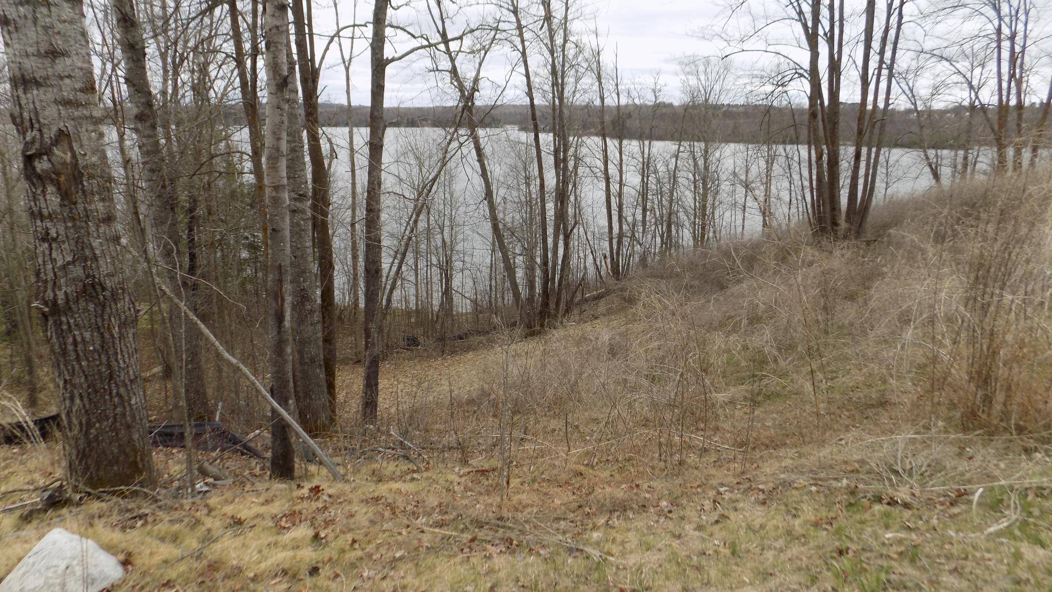 TBD Bluebill Bay RD, Bovey, MN 55709