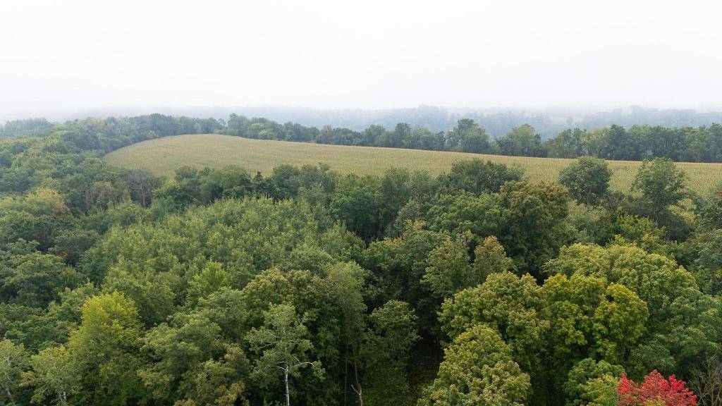 TBD (Lot 3) Goat Back Road, Pepin, WI 54759