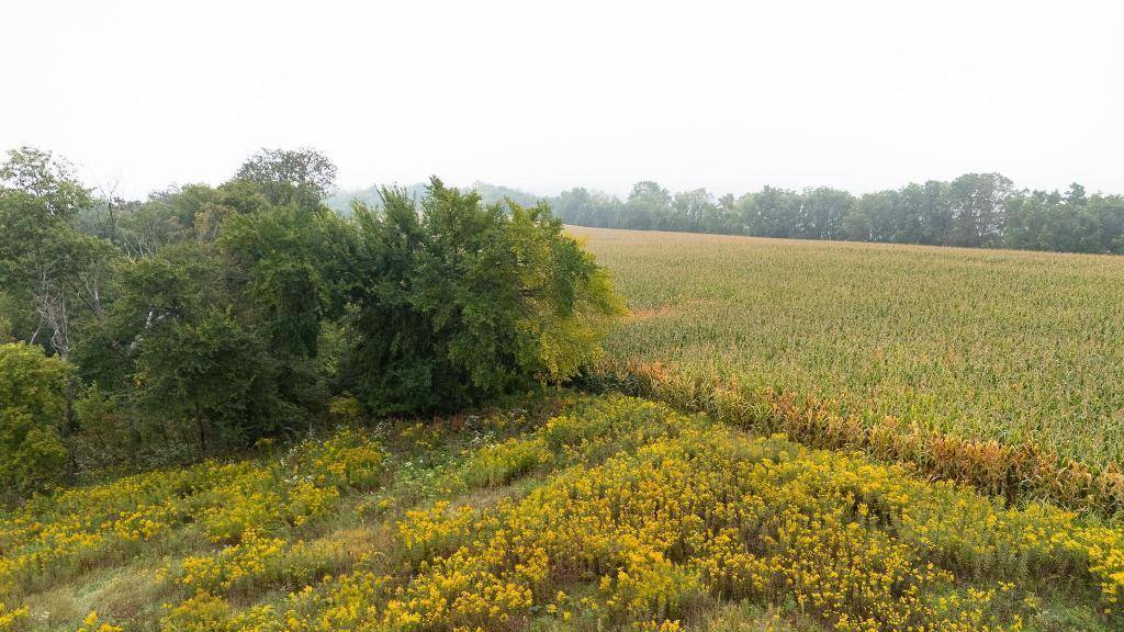TBD (Lot  2) Goat Back Road, Pepin, WI 54759