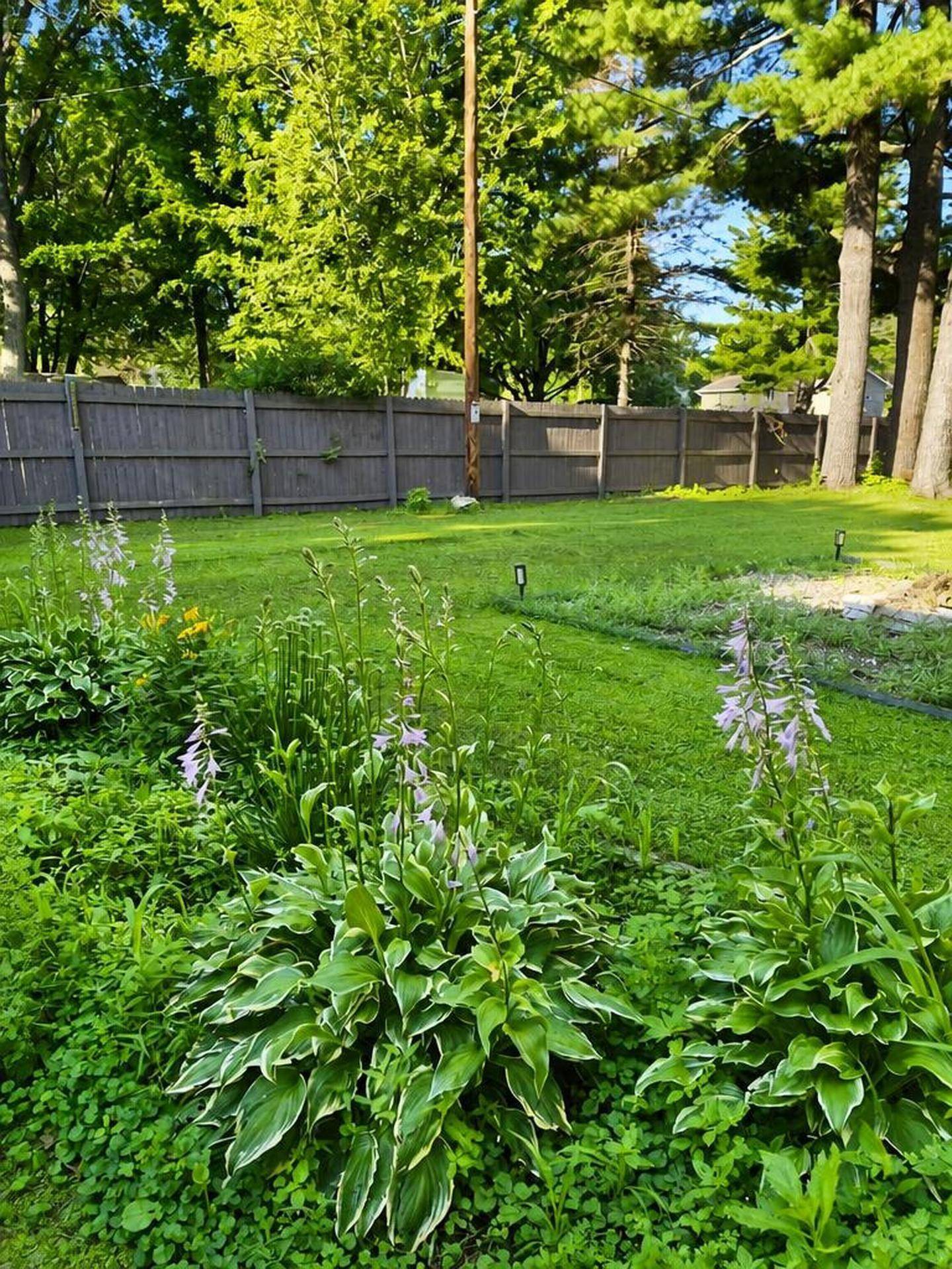 502 Birchwood AVE, Amery, WI 54001