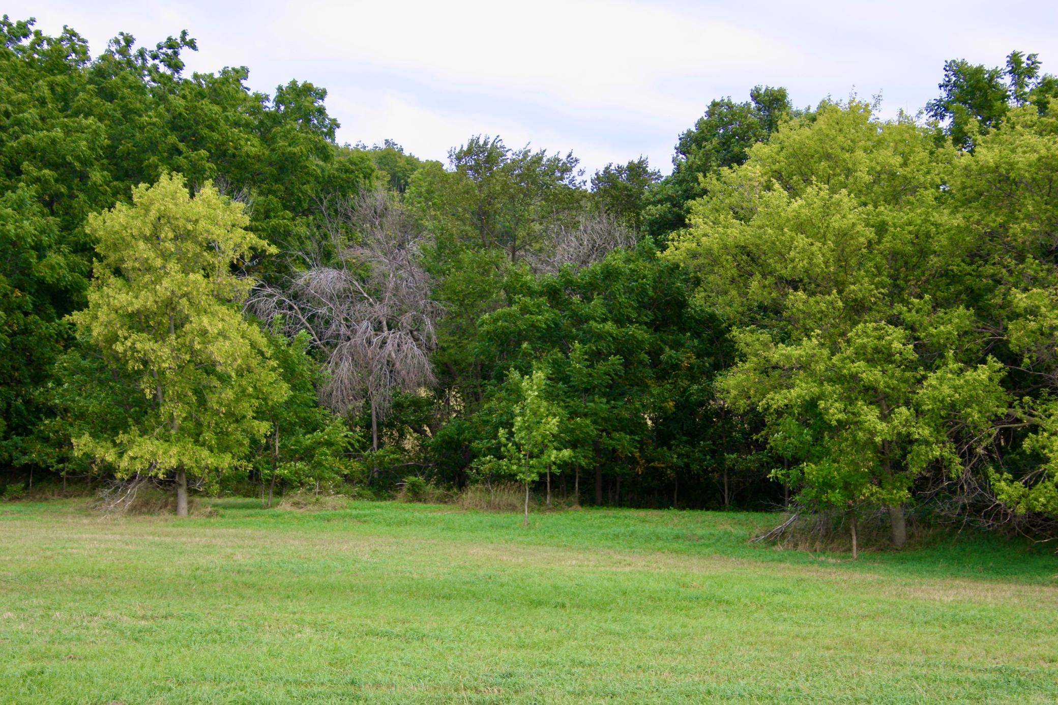 TBD Highway 65, River Falls, WI 54022
