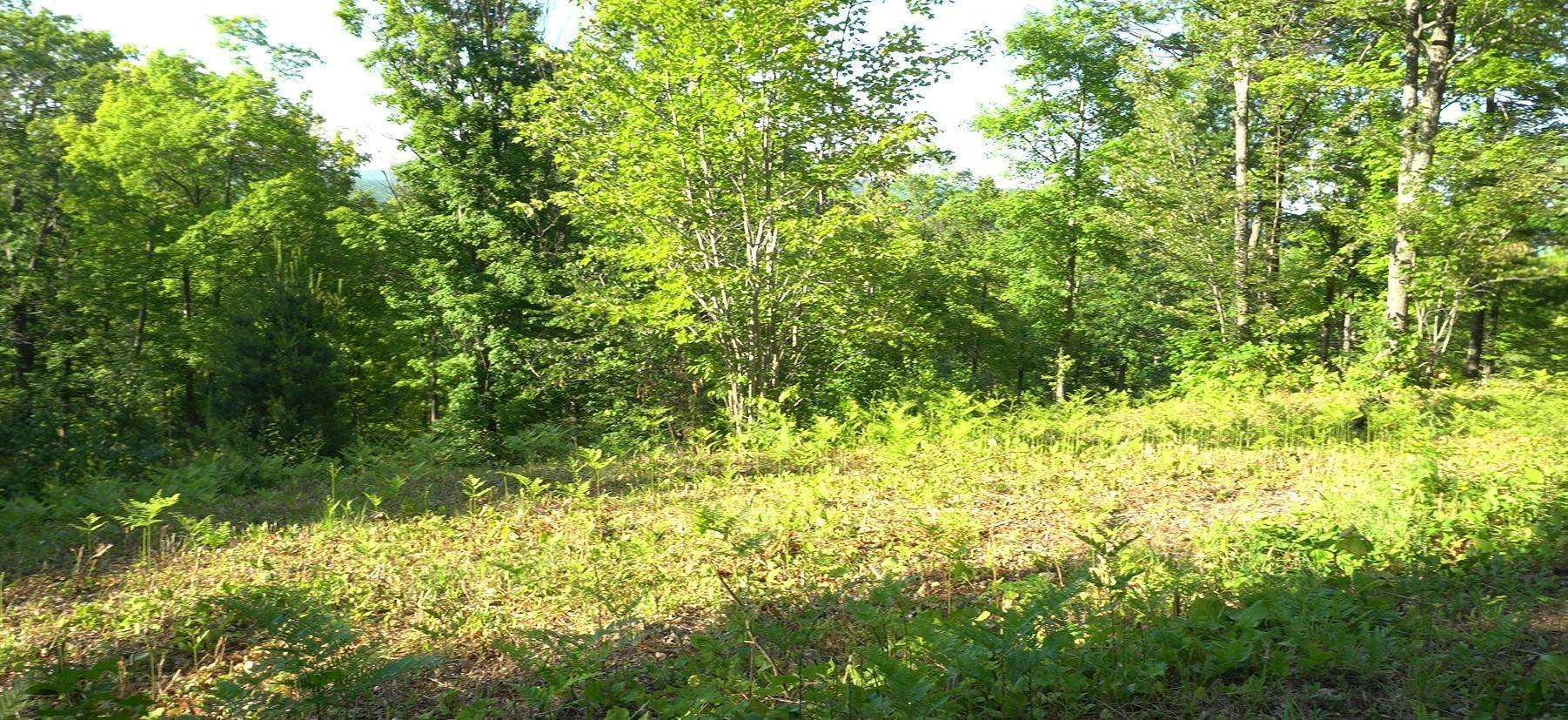 83xxx - Lot 13 Ashwabay RD, Bayfield, WI 54814