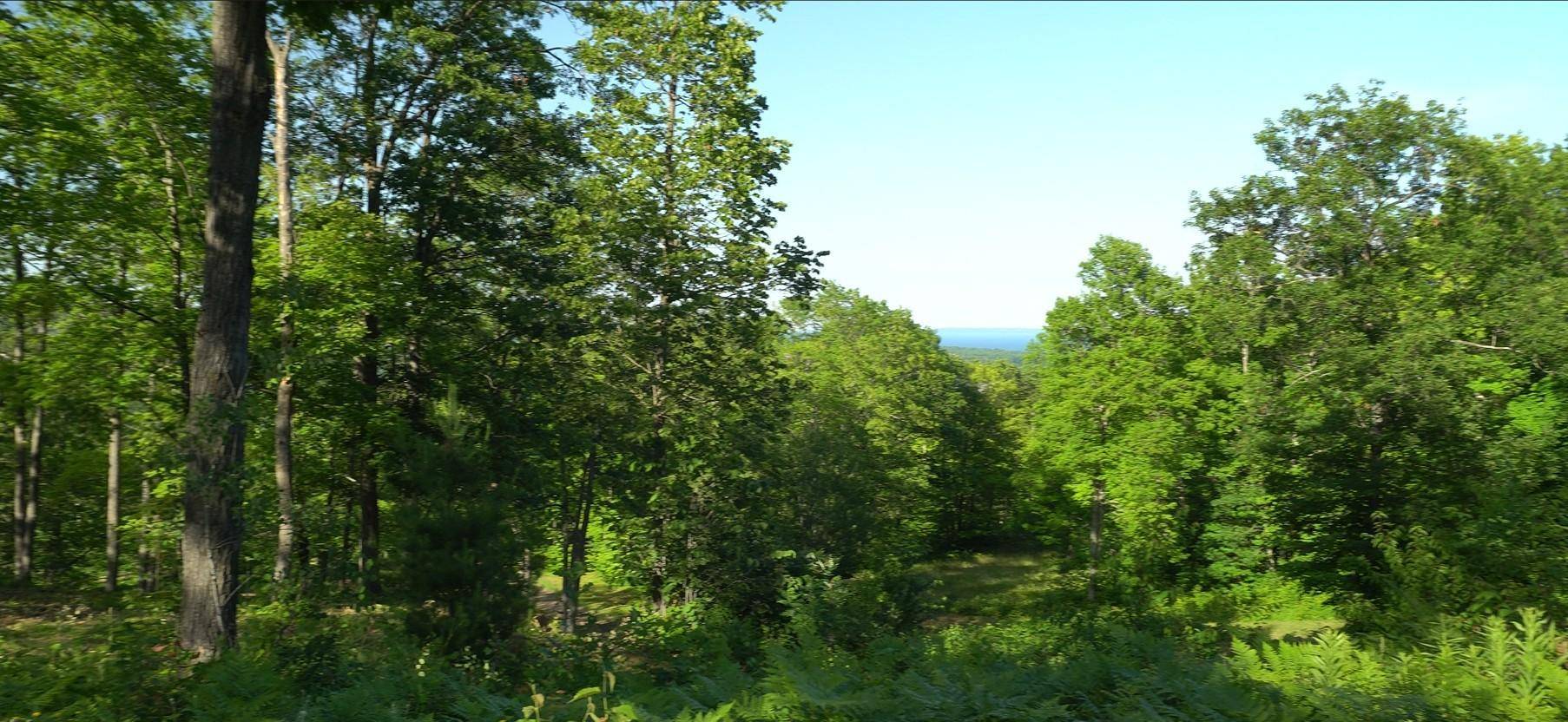 83xxx - Lot 11 Ashwabay RD, Bayfield, WI 54814