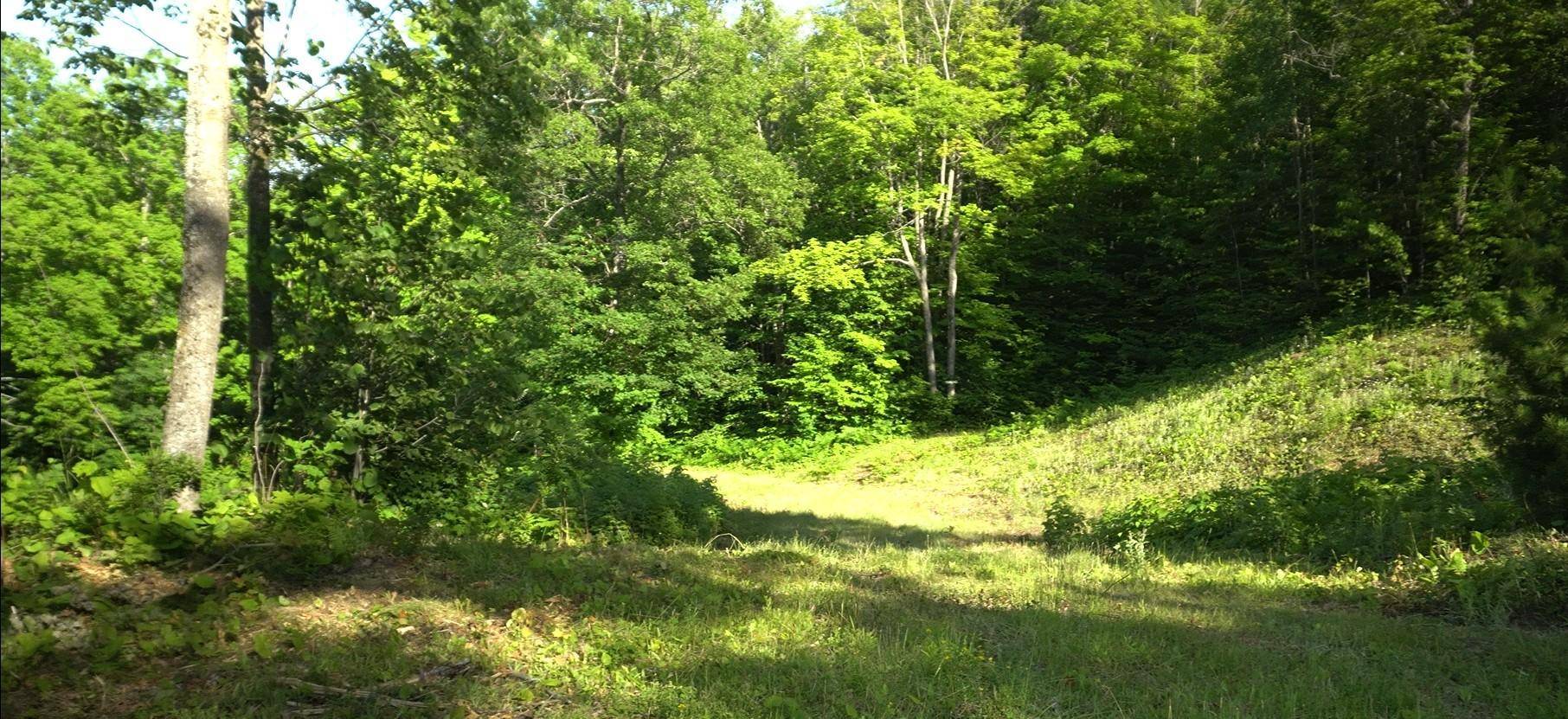 83xxx - Lot 11 Ashwabay RD, Bayfield, WI 54814