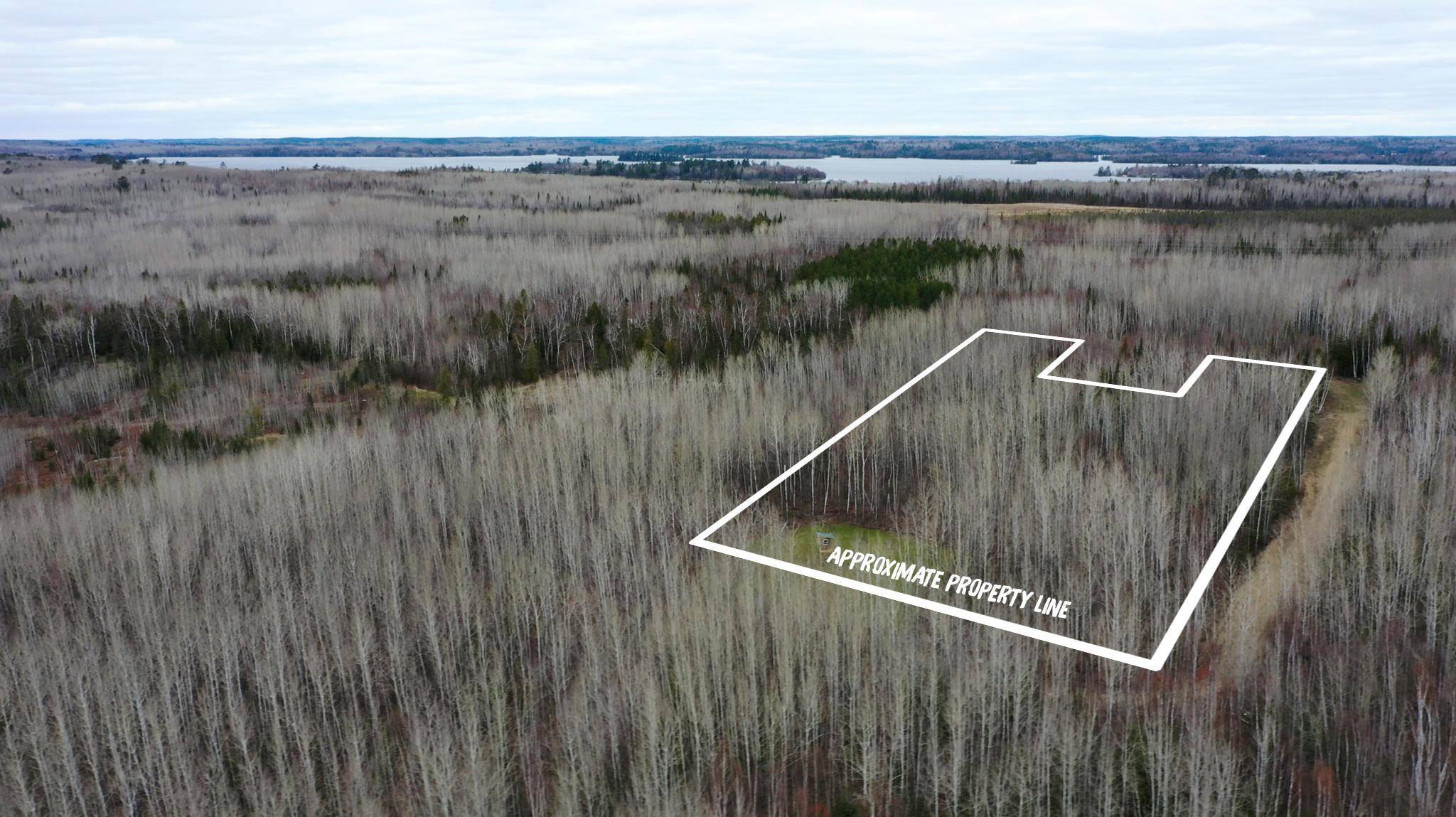 TBD Parcel 20 Hwy 115, Tower, MN 55790