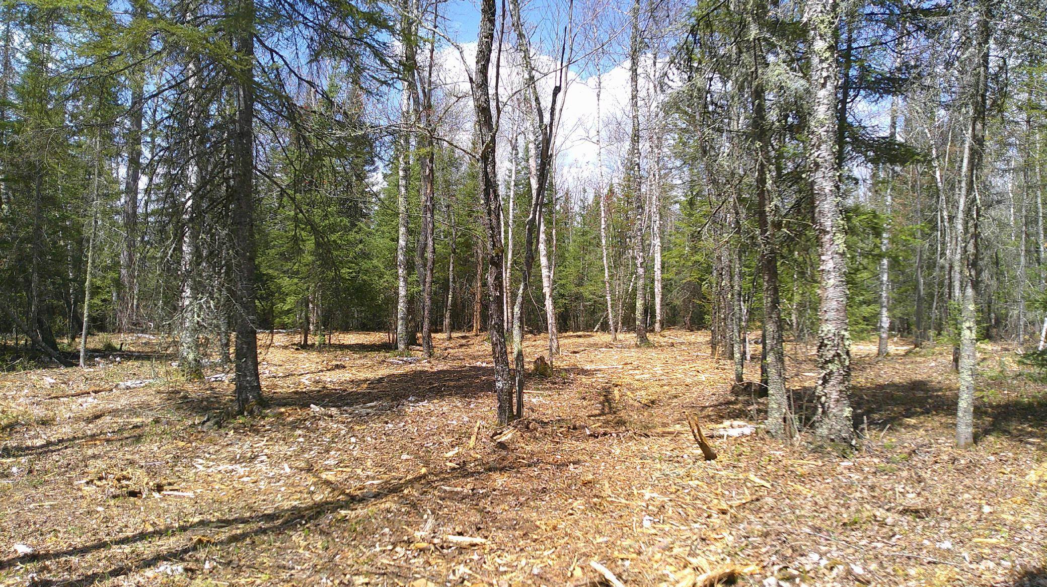 TBD Parcel G Frazer Bay Road, Cook, MN 55723