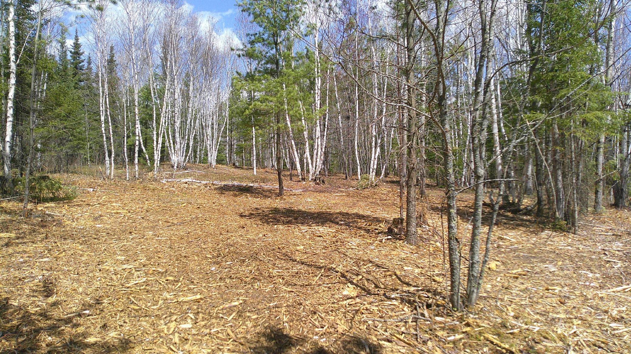 TBD Parcel I Frazer Bay Road, Cook, MN 55723