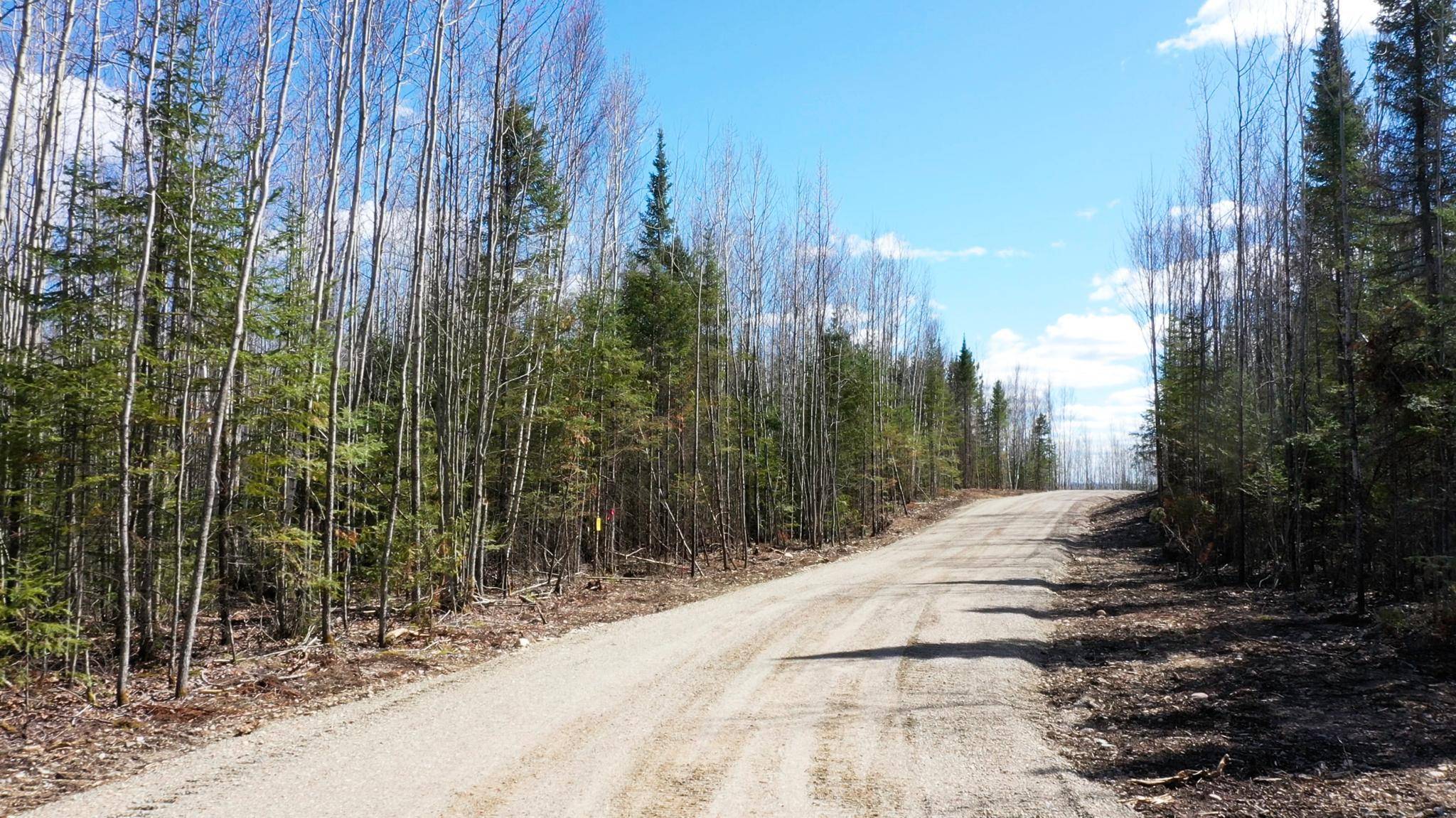 TBD Parcel U Frazer Bay Road, Cook, MN 55723
