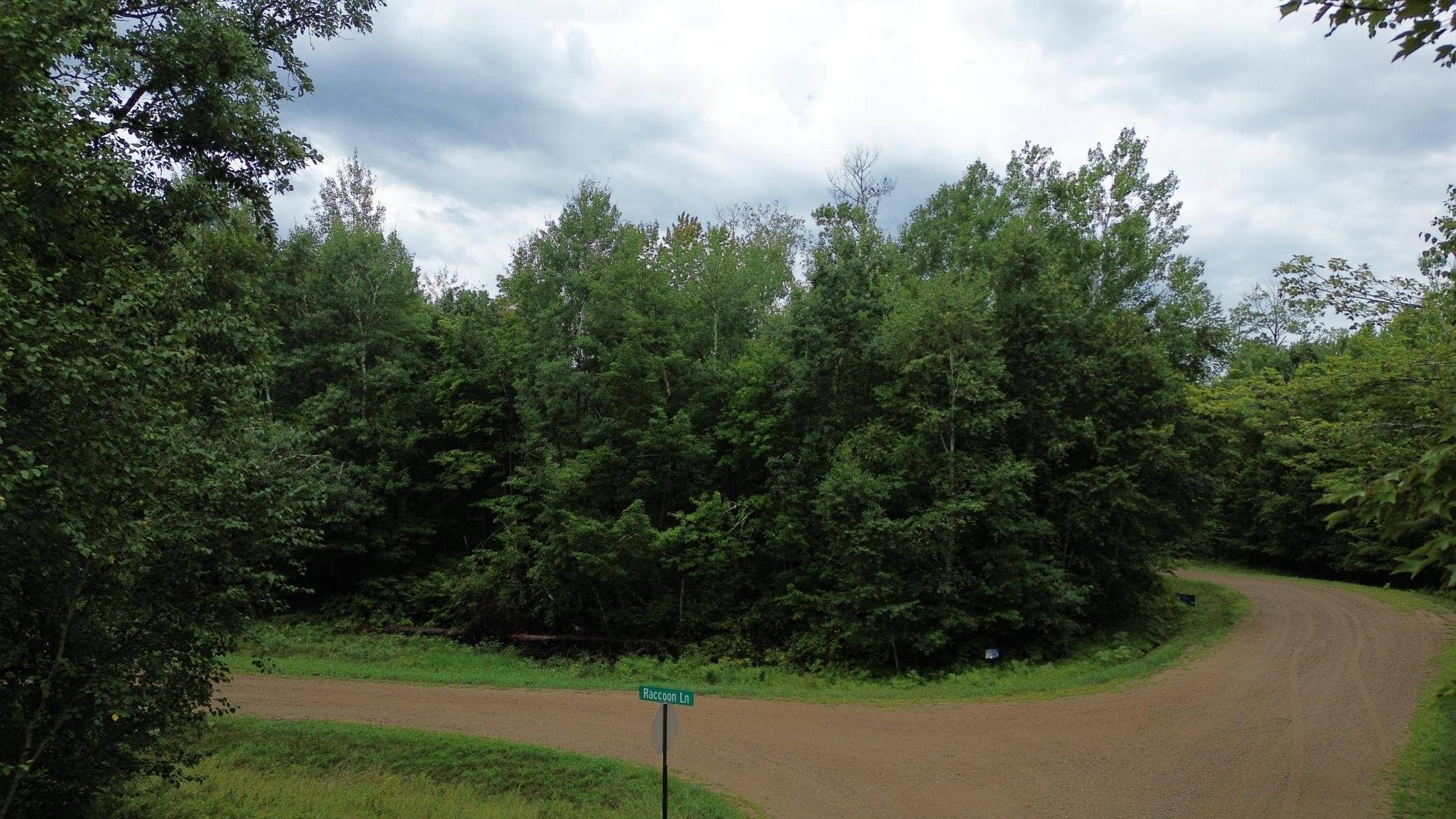 TBD Flower Trail, Breezy Point, MN 56472