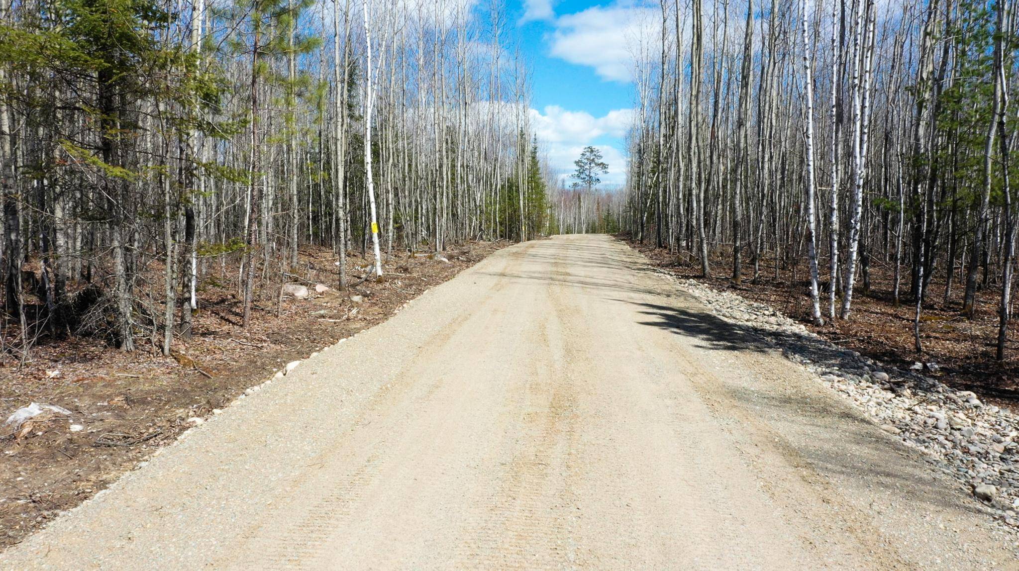 TBD Parcel Y Frazer Bay Road, Cook, MN 55723