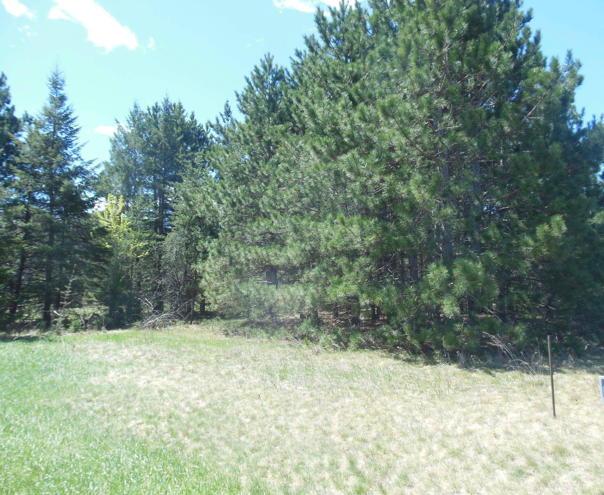 TBD Red Sequia DR N, Baxter, MN 56425