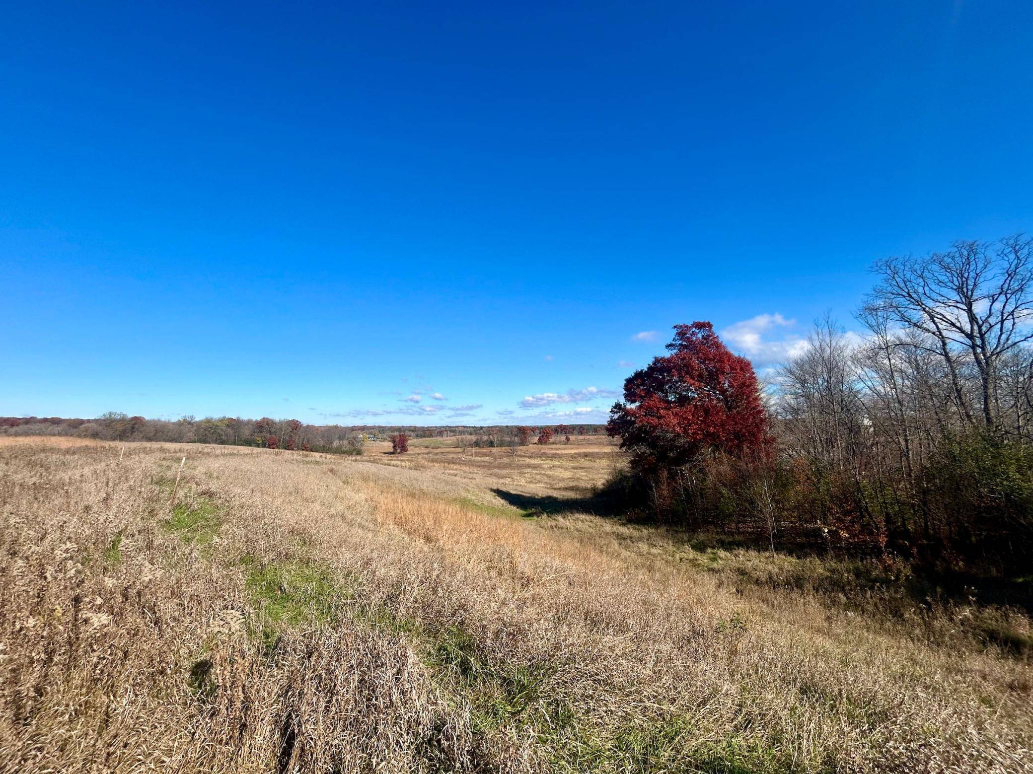 TBD 125th ST, Amery, WI 54001