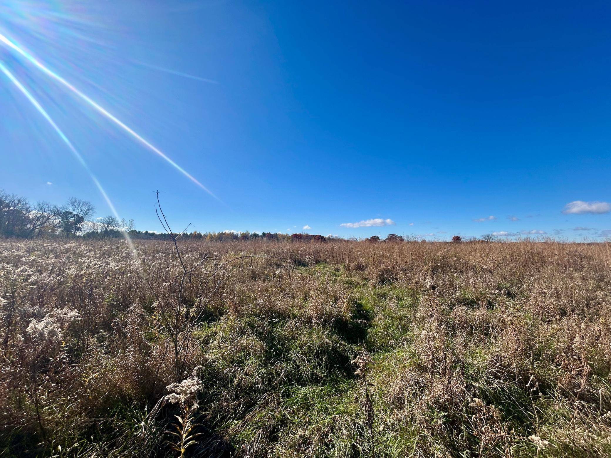 TBD 125th ST, Amery, WI 54001