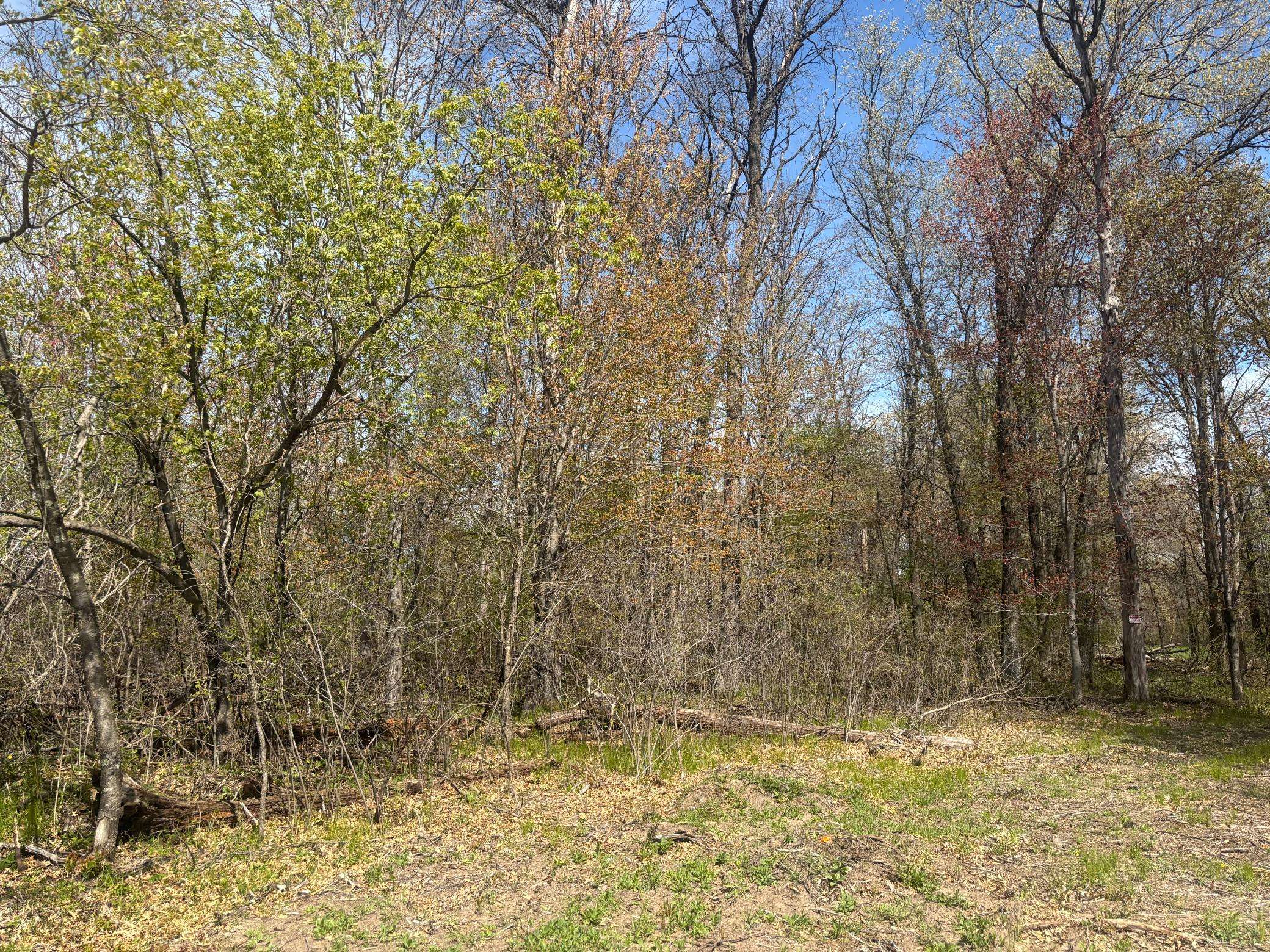 TBD 151st ST NW, Princeton, MN 55371