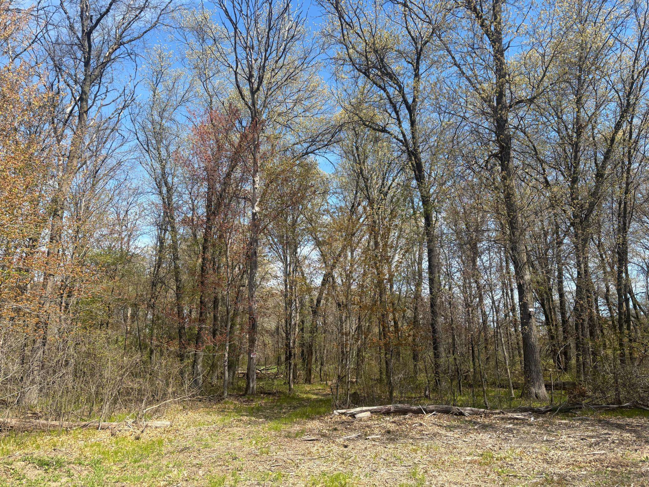 TBD 151st ST NW, Princeton, MN 55371