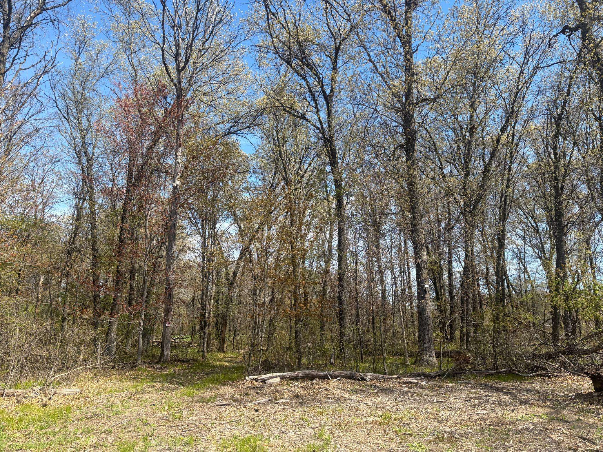 TBD 151st ST NW, Princeton, MN 55371