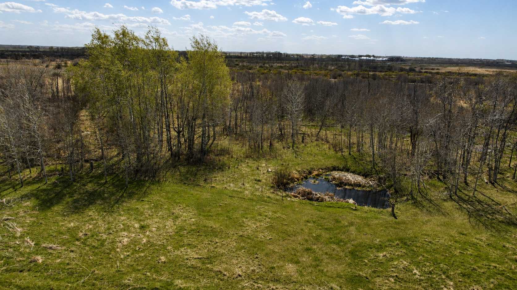32524 490th AVE, Ottertail, MN 56571