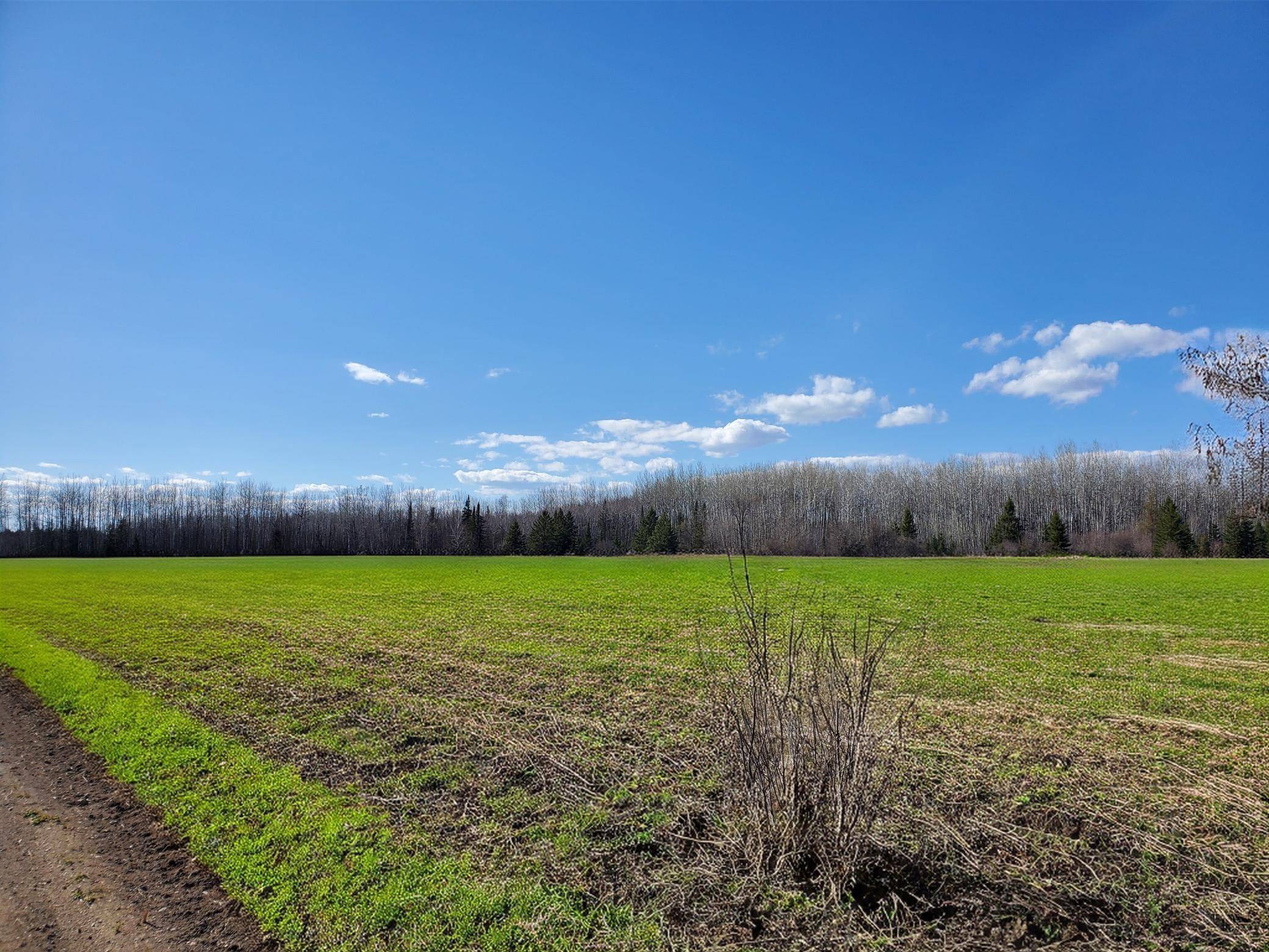tbd Wildflower Lane NE, Blackduck, MN 56630