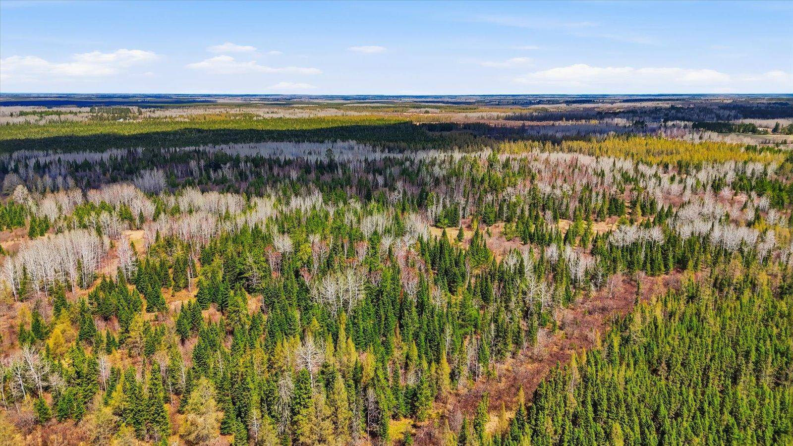8849 Hwy 25, Angora, MN 55703