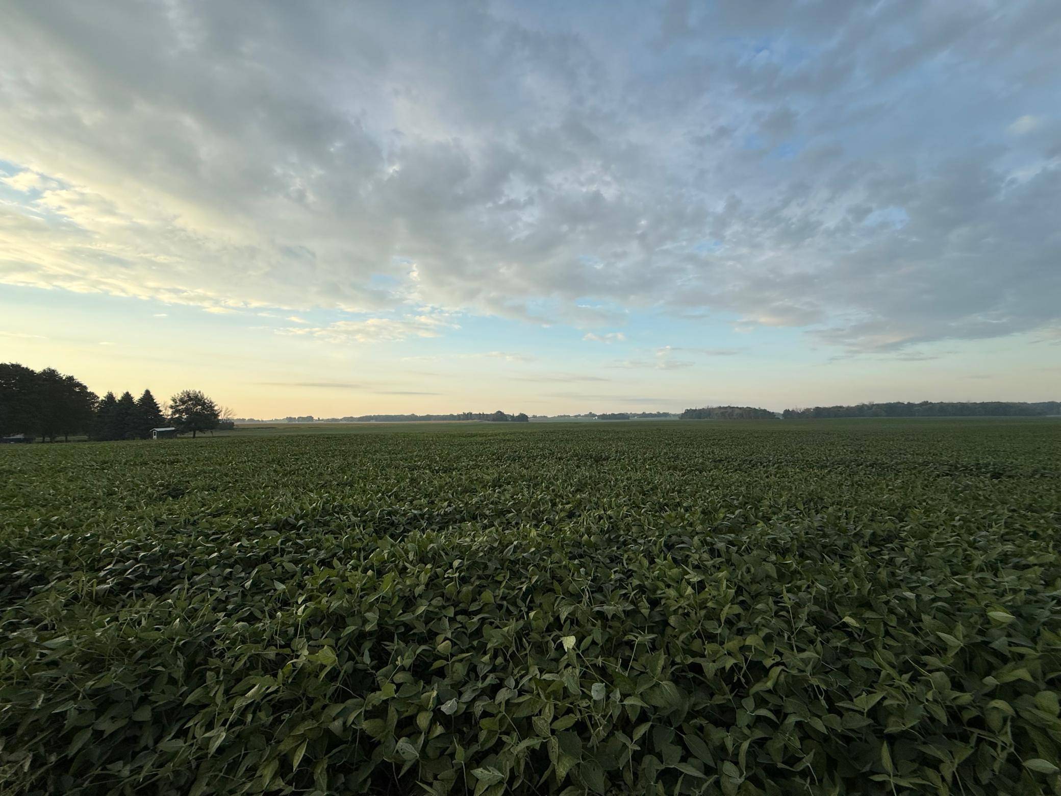 TBD 265th AVE, Belle Plaine, MN 56011
