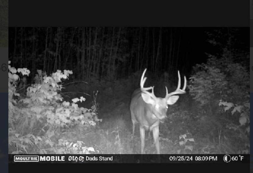 TBD US HWY 2, Bagley, MN 56621