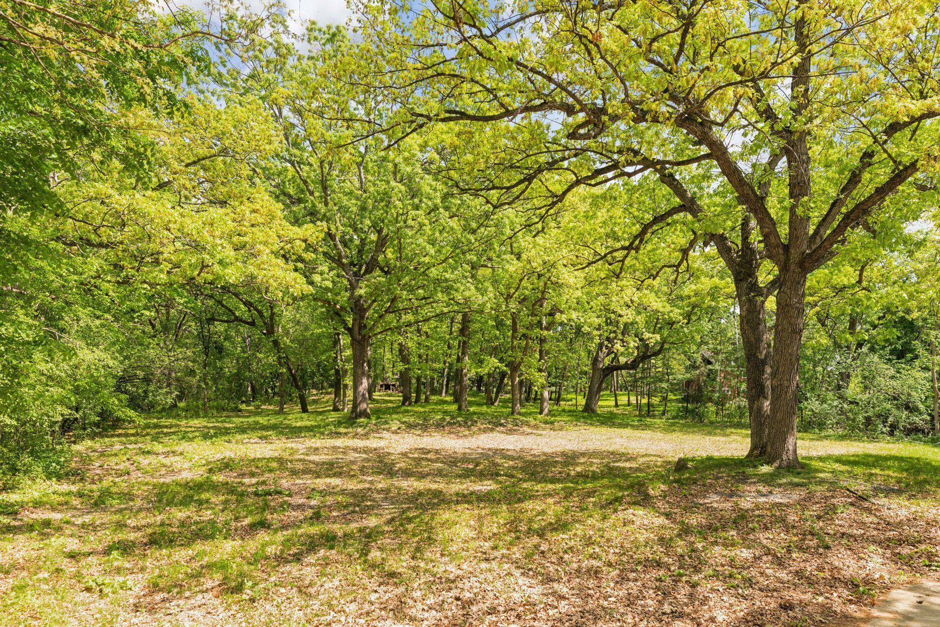 5125 Schaefer RD, Edina, MN 55436