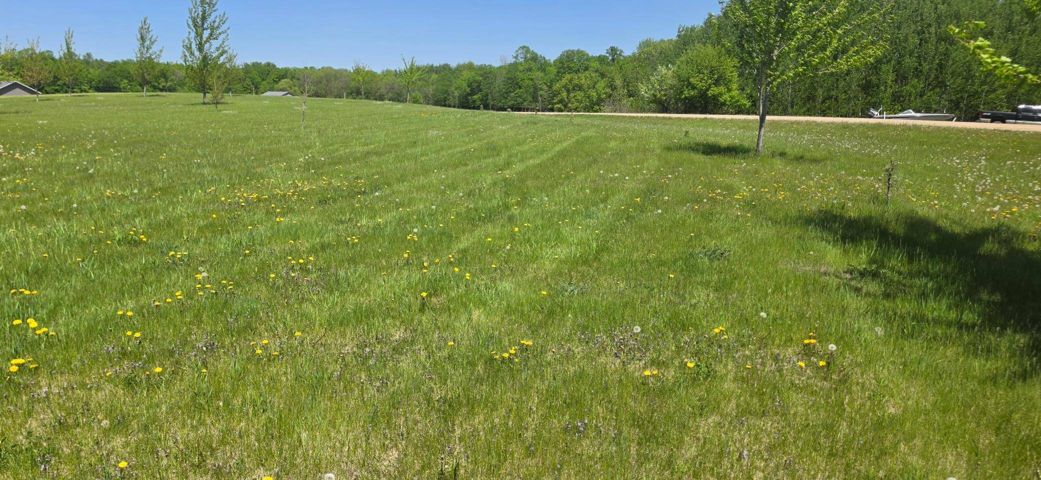 TBD Meadows CIR, Audubon, MN 56511