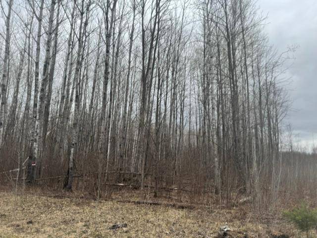 XXX Frazer Road, Deer River, MN 56631