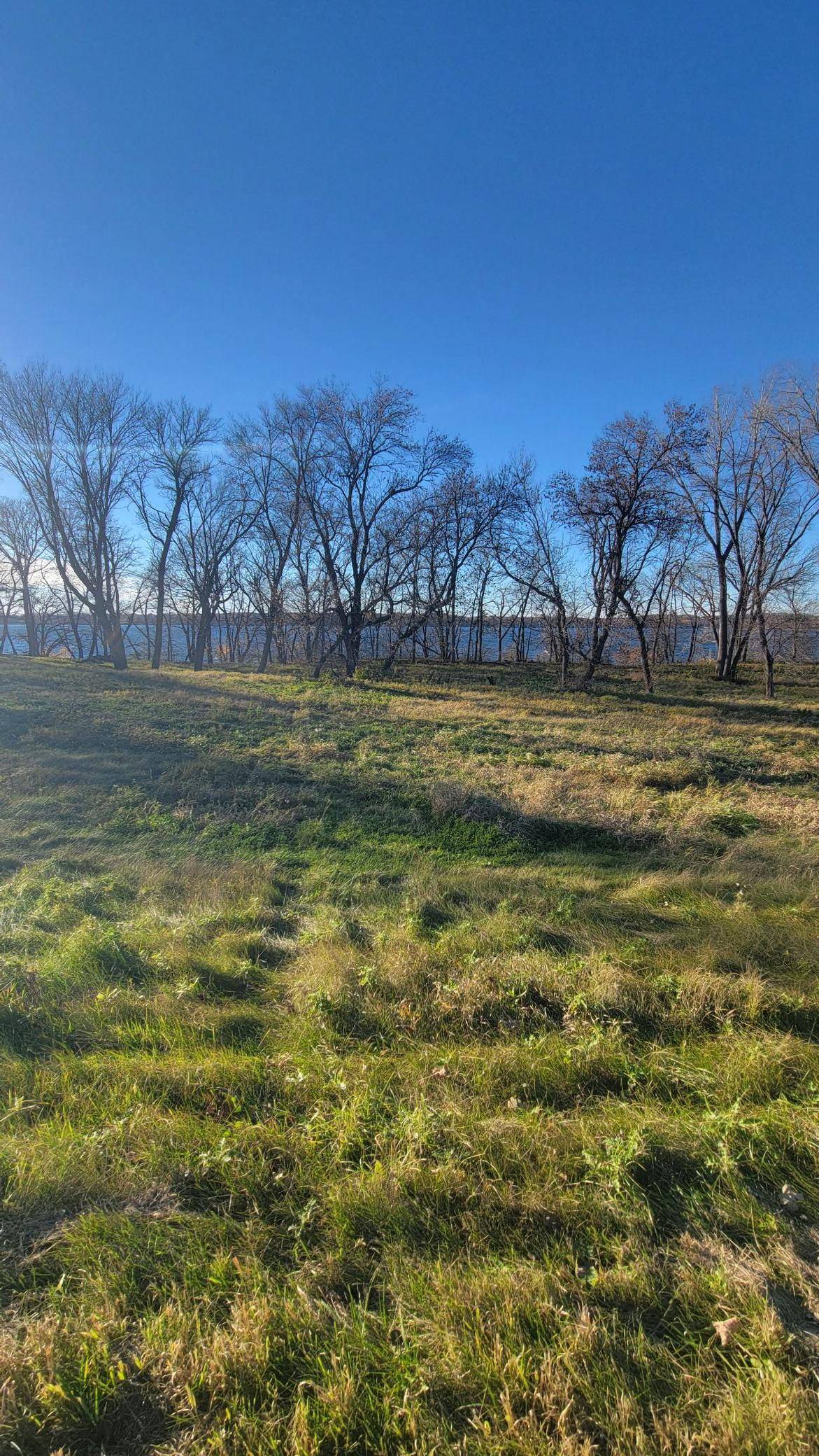 TBD Lot 4 County Road 9 NE, Willmar, MN 56201
