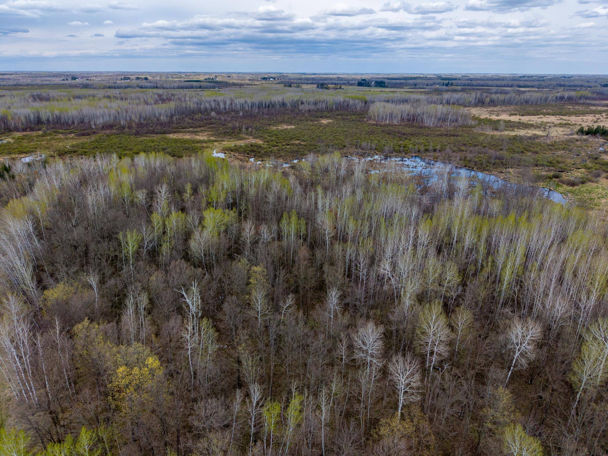 XXX Brown Rd, Kettle River, MN 55757