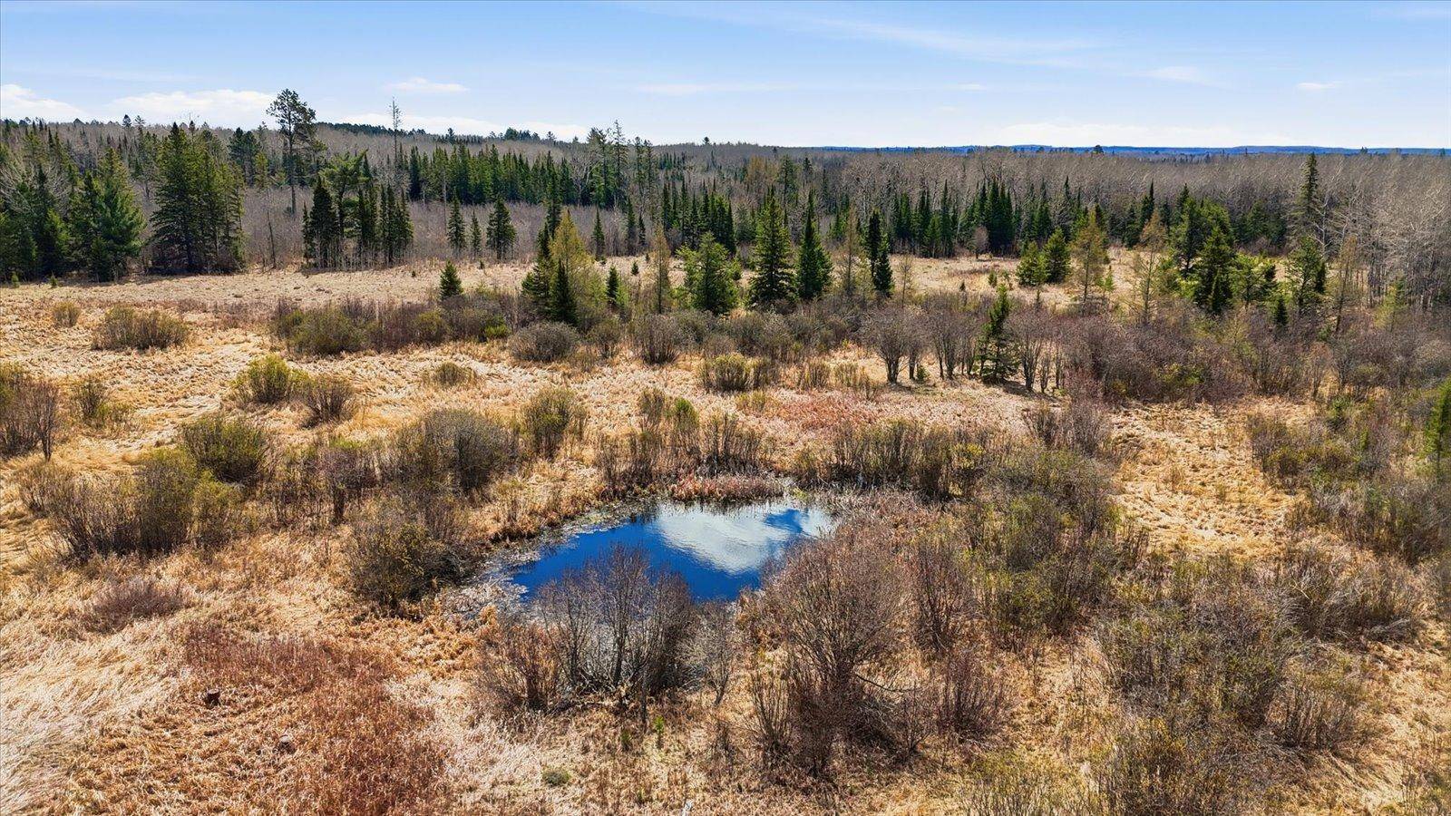 TBD Hwy 25, Angora, MN 55703
