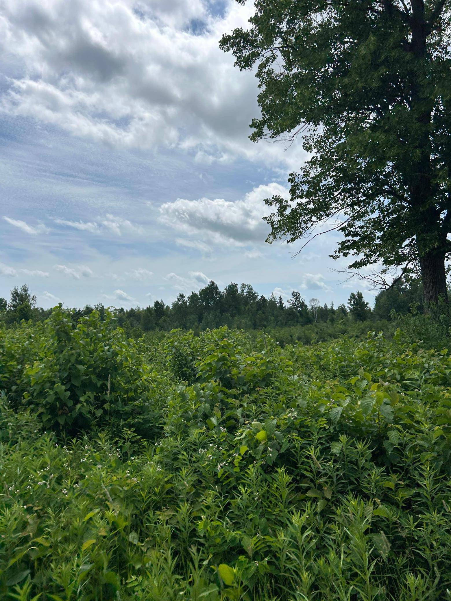 TBD1 Duncan RD, Sandstone, MN 55072