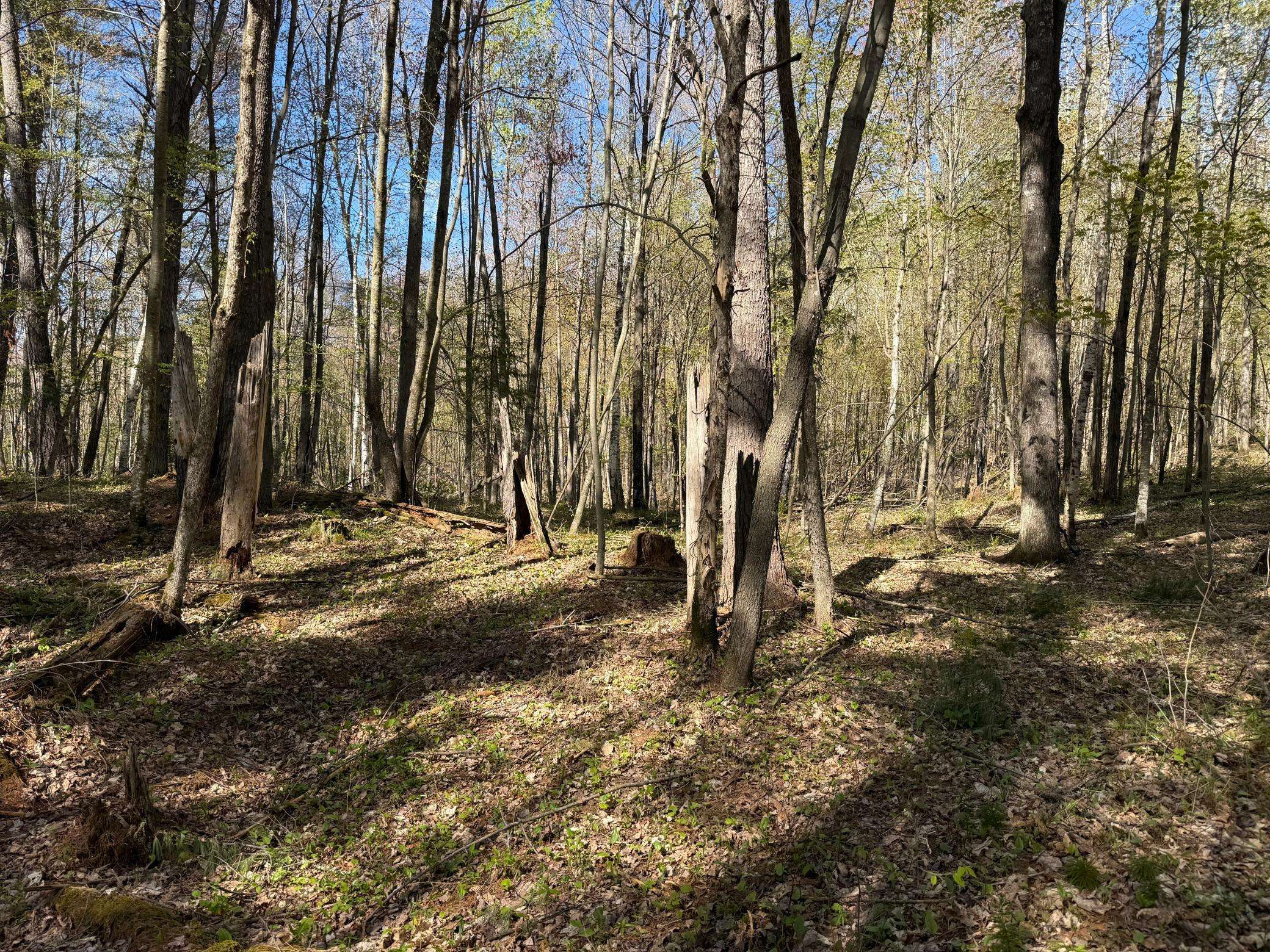 TBD Leonard RD, Birchwood, WI 54817