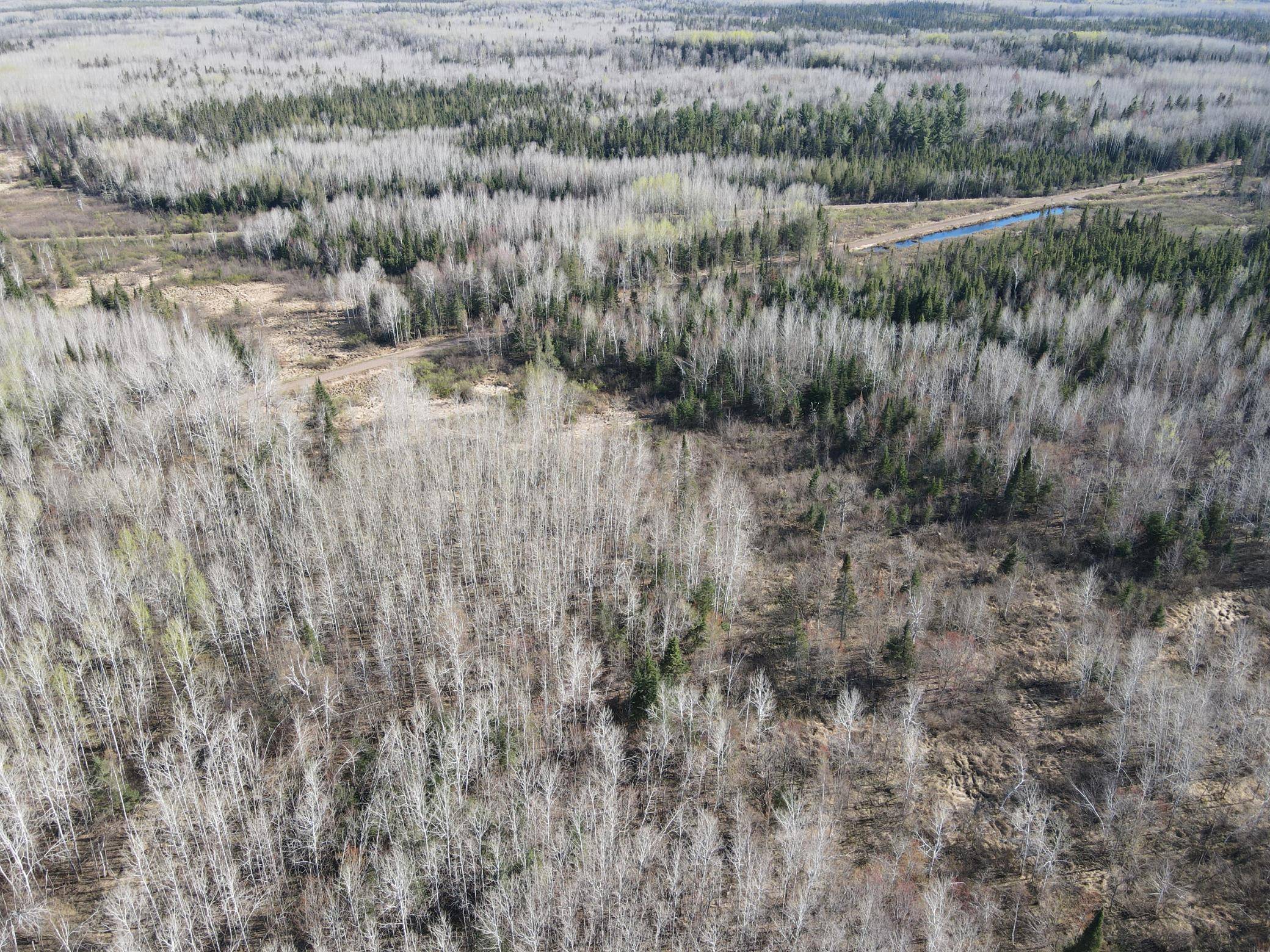 TBD Purple Rain RD, Barnum, MN 55707