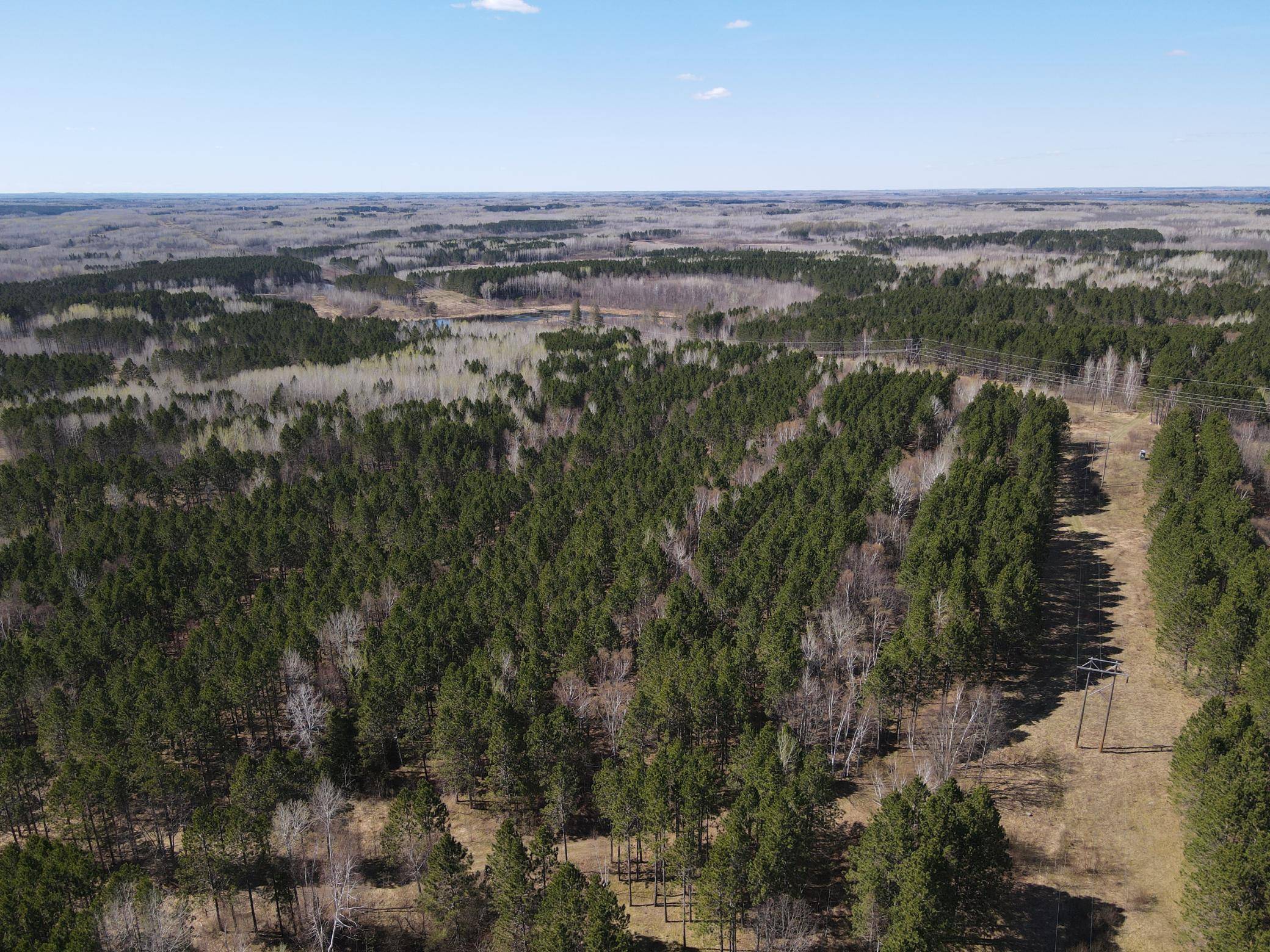 TBD (164.21AC) Maple Grove RD, Cloquet, MN 55720