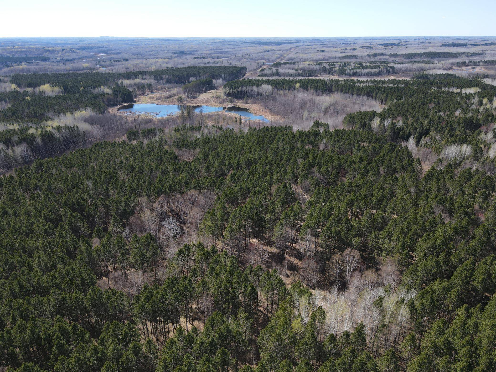 TBD (164.21AC) Maple Grove RD, Cloquet, MN 55720