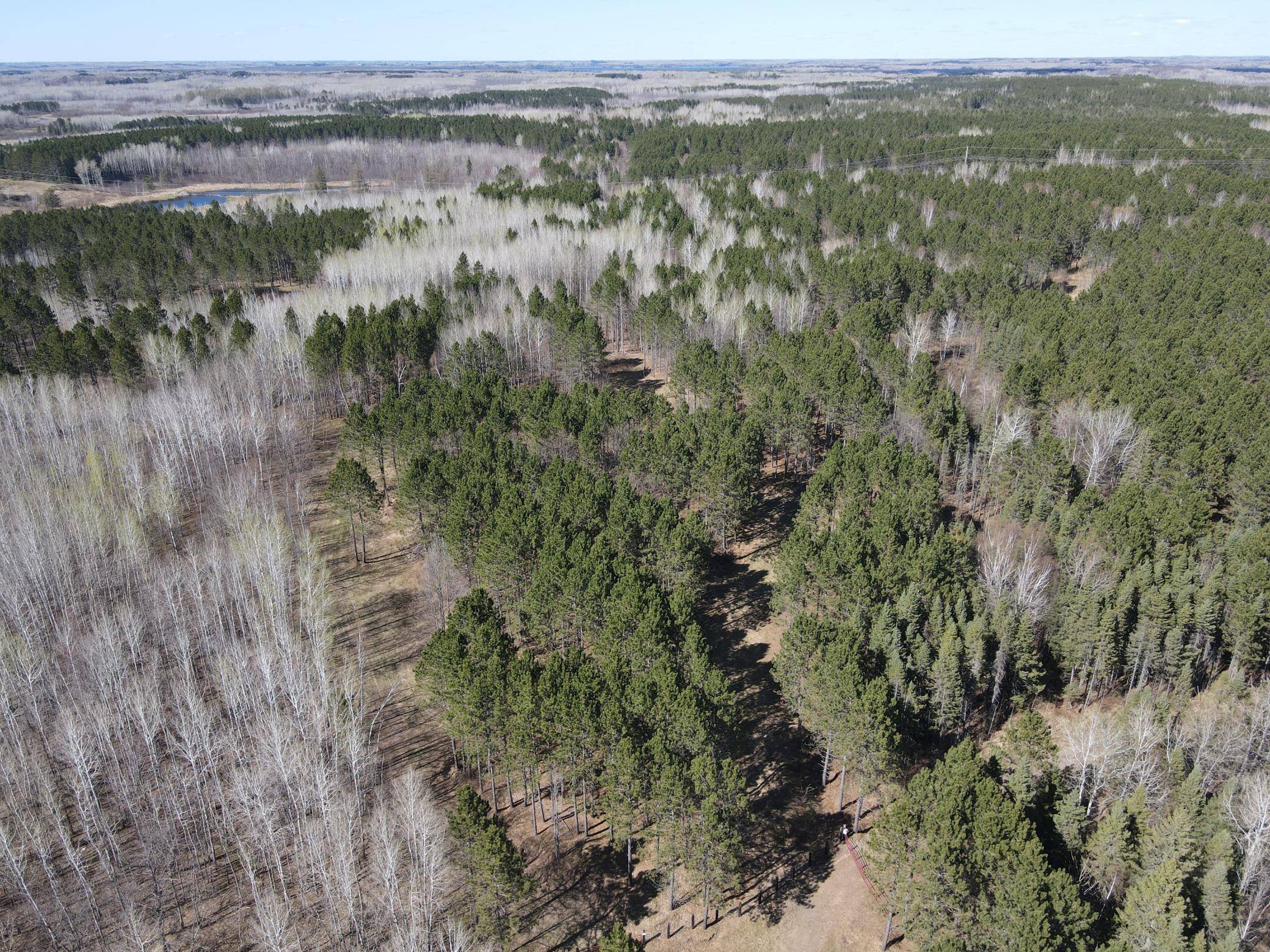 TBD (280AC) Maple Grove RD, Cloquet, MN 55720