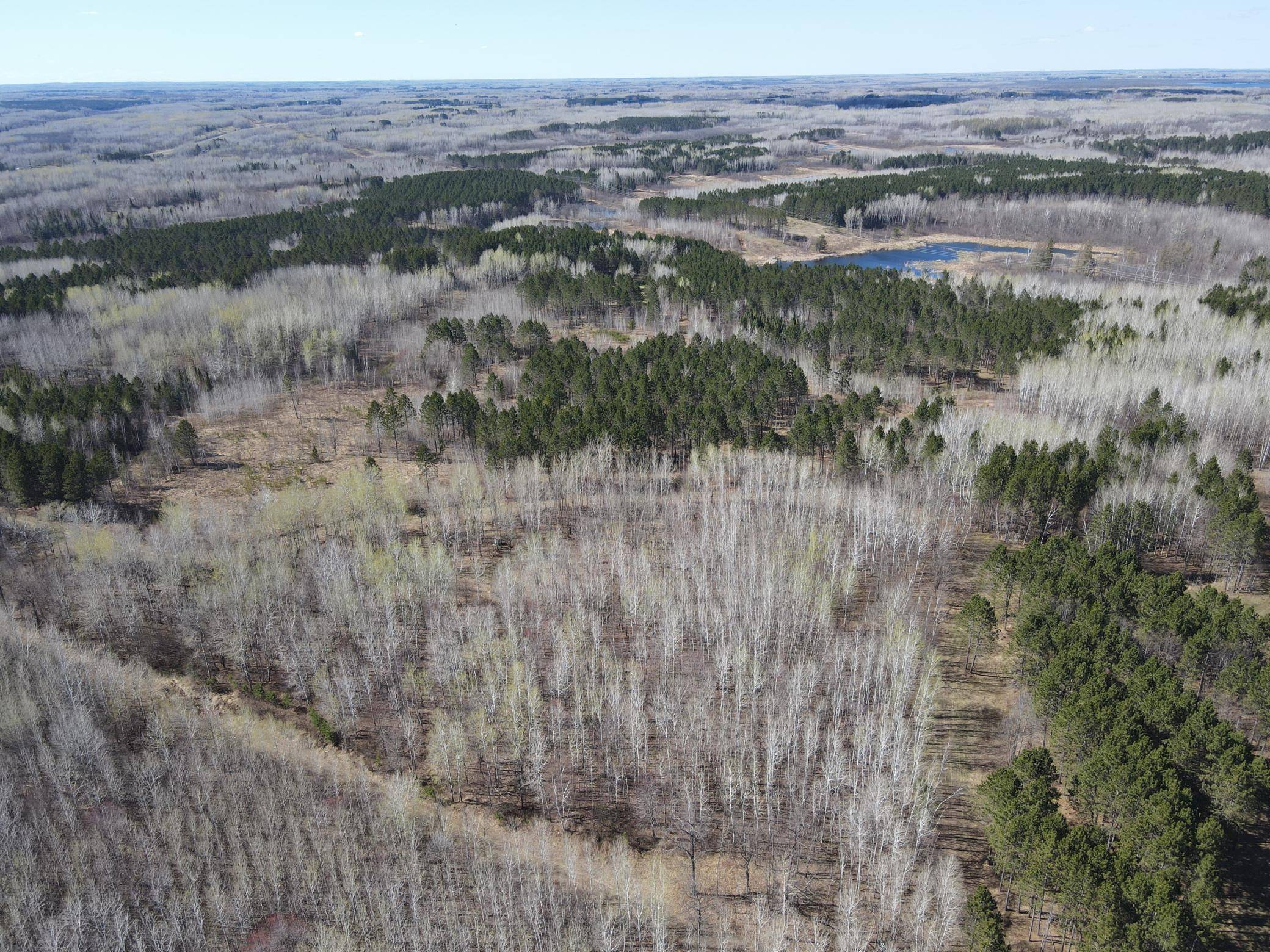 TBD (280AC) Maple Grove RD, Cloquet, MN 55720