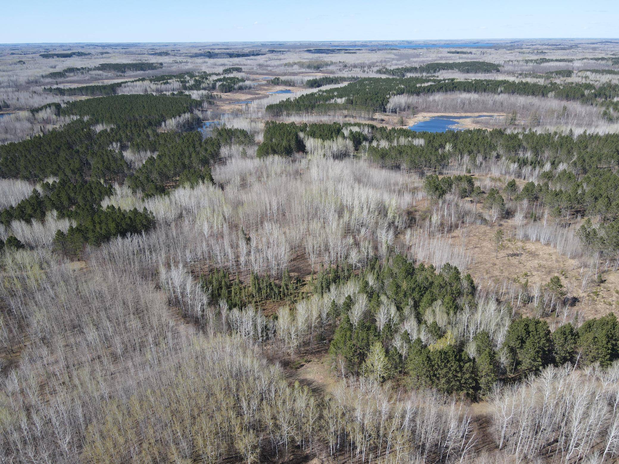 TBD (280AC) Maple Grove RD, Cloquet, MN 55720