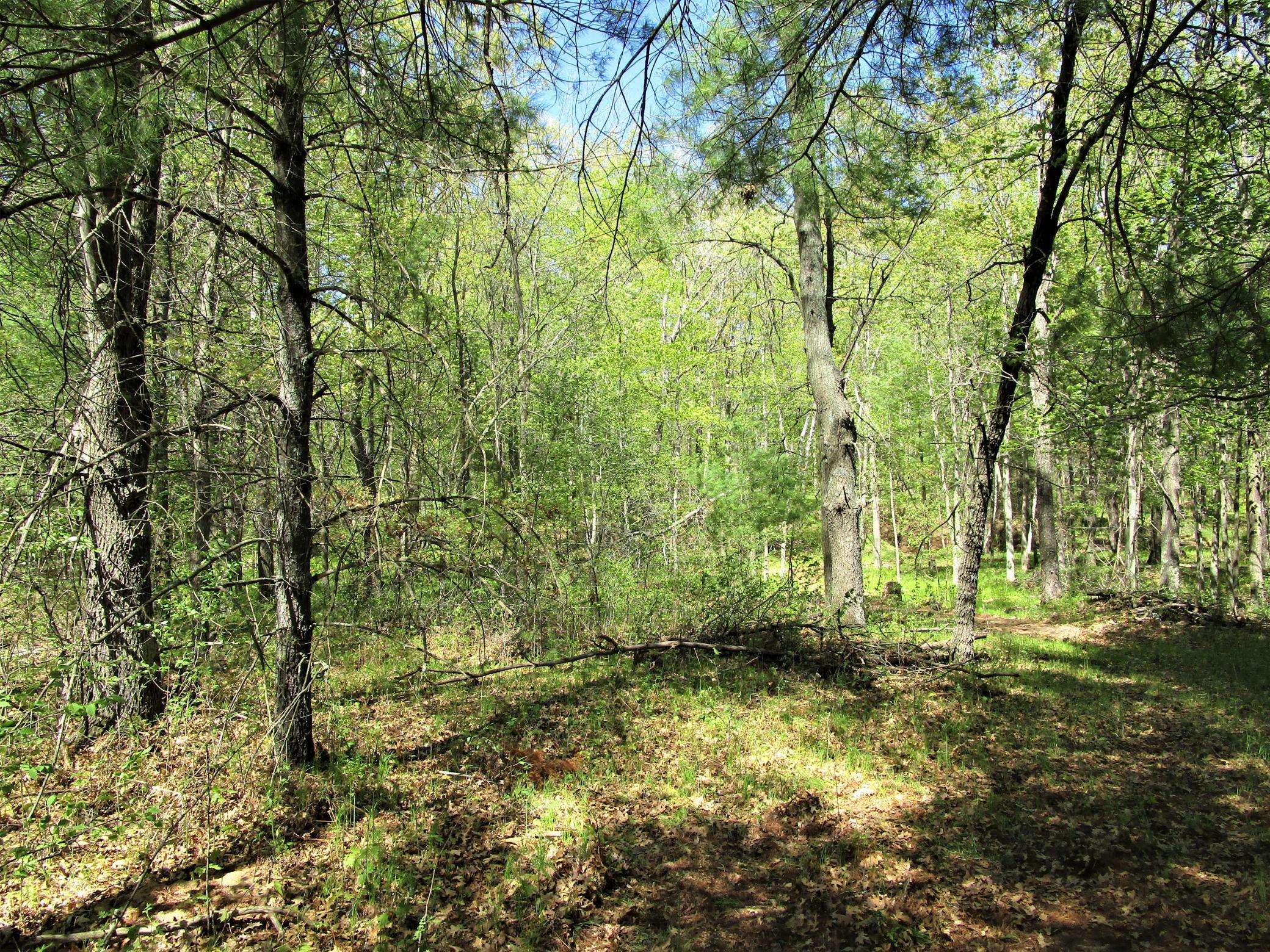 XX S Long Lake Rd, Siren, WI 54872