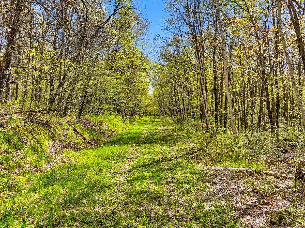 W6474 River Road, Trego, WI 54888