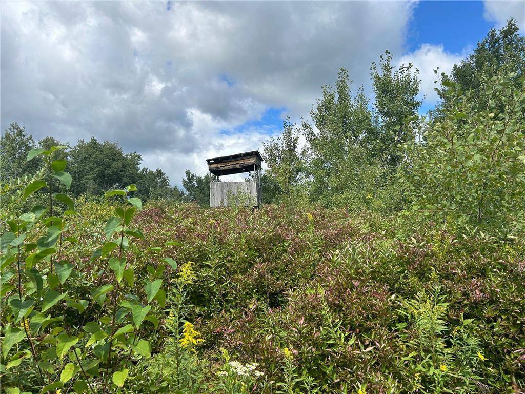 TBD2 Duncan RD, Sandstone, MN 55072