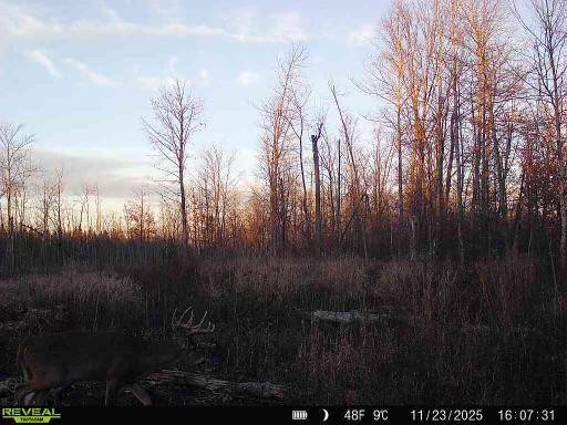 xxx Fleming Logging RD, Hinckley, MN 55037