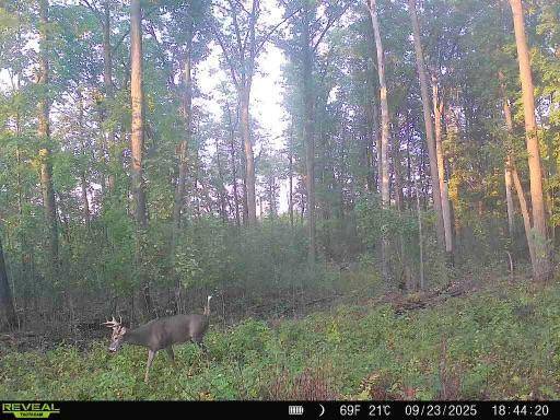 xxx Fleming Logging RD, Hinckley, MN 55037