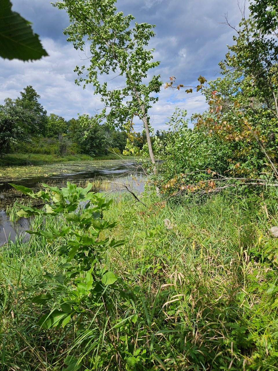 _ __Birch Circle DR NW, Baudette, MN 56623
