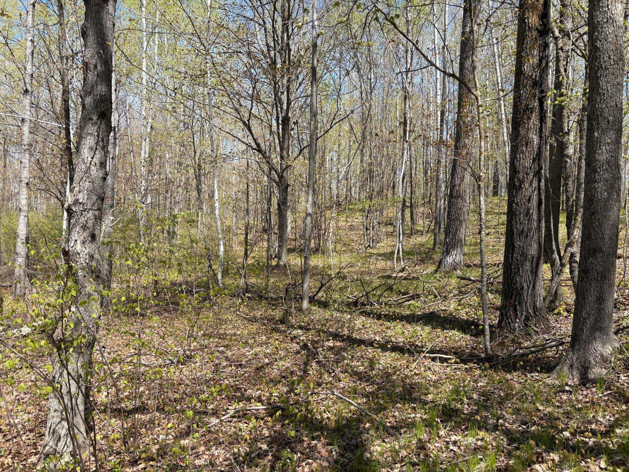 854x W Chub Lake Rd, Carlton, MN 55718