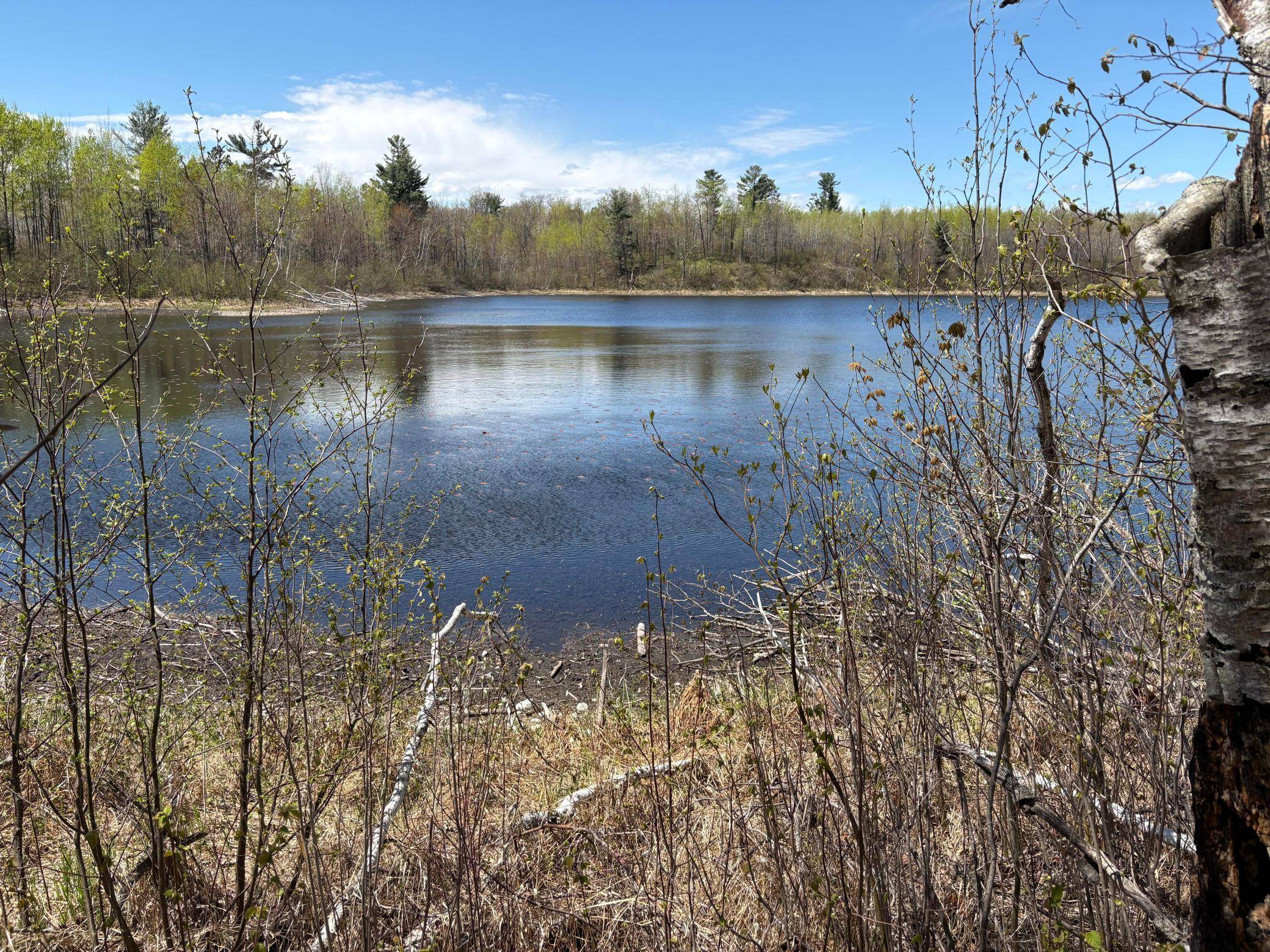 854x W Chub Lake Rd, Carlton, MN 55718